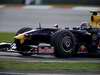 GP MALESIA Domenica